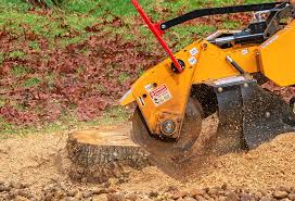 Best Lawn Watering Services  in Mec, CA